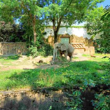 Safari Park Dvůr Králové - czyli miejsce z przesłaniem i kilkudziesięcioletnią historią